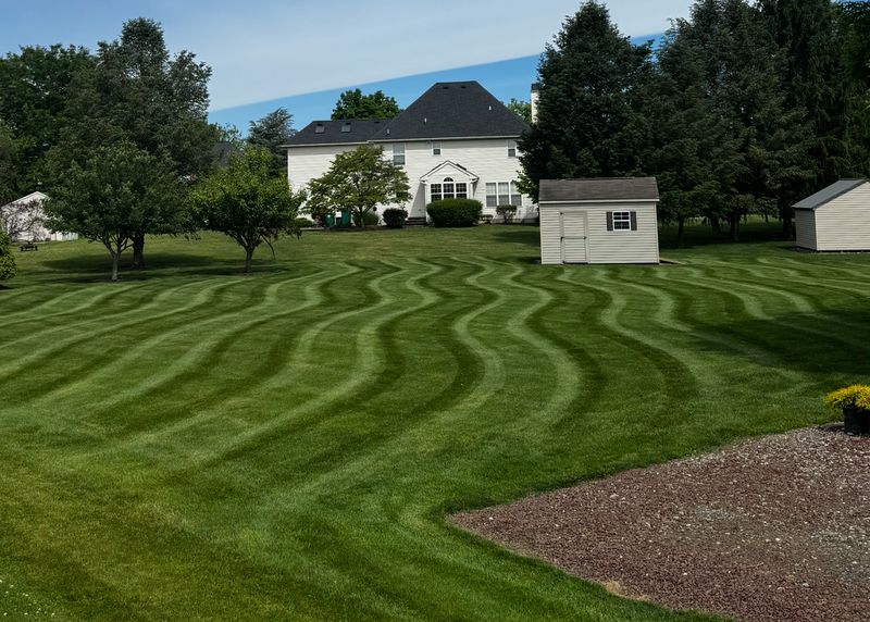Backyard mowed in wavy stripes