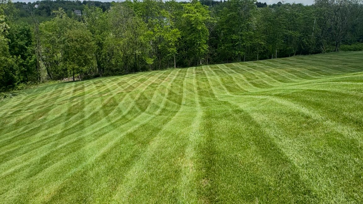 Freshly mowed lawn with clean stripes
