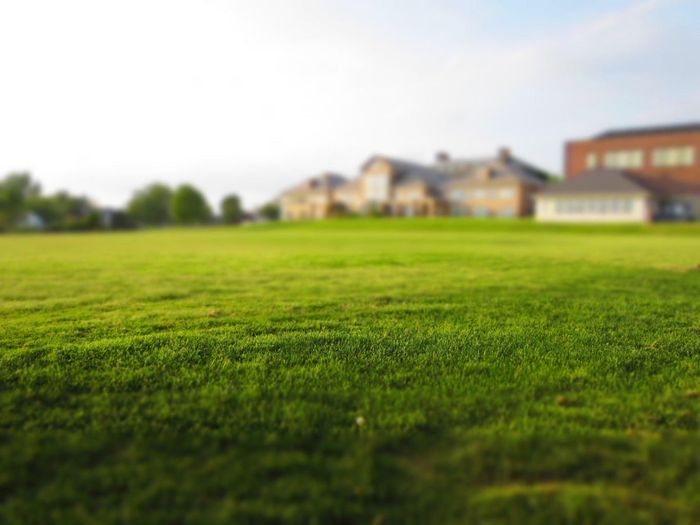 Wide open lawn in front of houses
